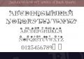 精致的圣诞特制英文字体