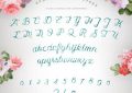 优雅的手绘英文字体素材