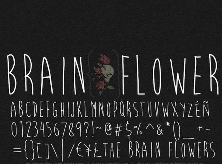 脑花英文字体