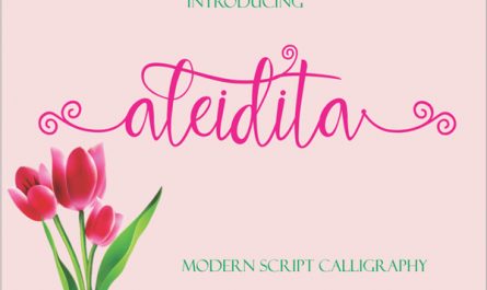 Aleidita 英文字体