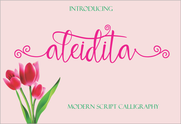 Aleidita 英文字体