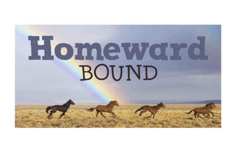 DK Homeward Bound II 英文字体