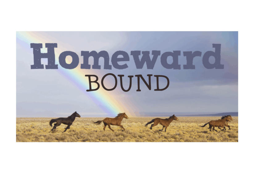 DK Homeward Bound II 英文字体