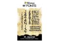 Japanish Windows 英文字体