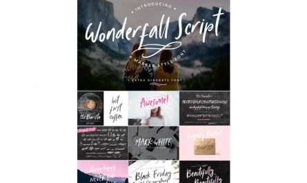 Wonderfall Script Dingbats 英文字体