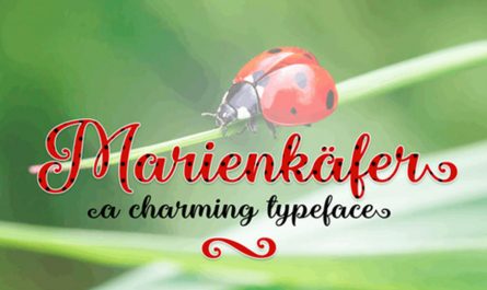 Marienkaefer 英文字体