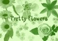 Photoshop 精美花朵画笔