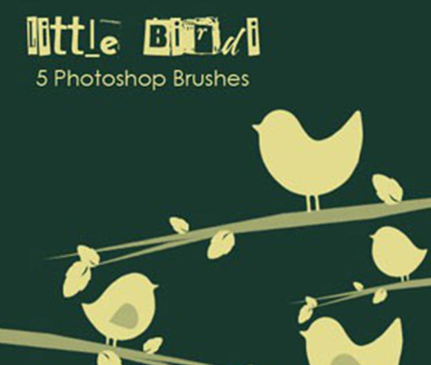 Photoshop Little Birdi 小鸟笔刷